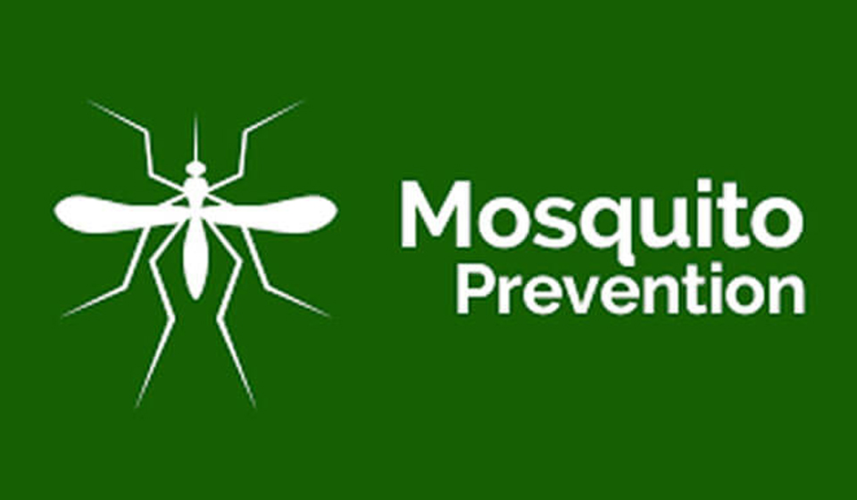 mosquito-prevention