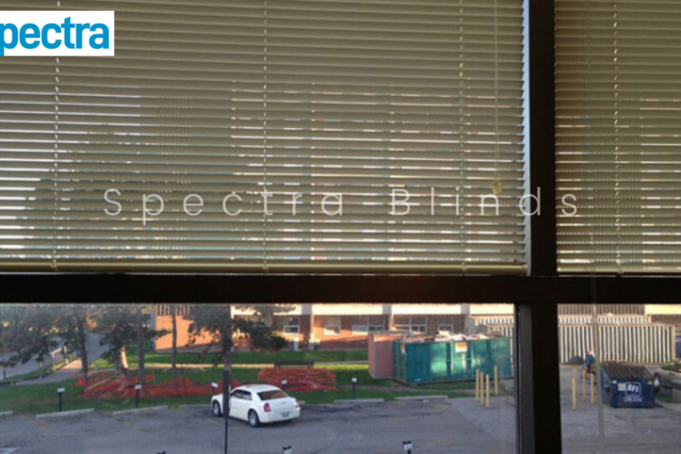 Window Blinds | Spectra Blinds